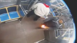 Woman set on fire on Chicago train allegedly by Lawrence Reed, attorneys say