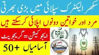 wapda jobs 2023| sepco jobs 2023 online apply| Sukkur Electric Supply Company jobs 2023| sepco jobs