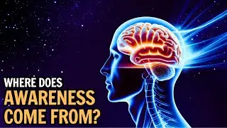 What Is Consciousness, Really? — Explained Slowly | The Quantum Slumber