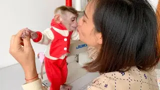 Monkey Puka looks so warm wearing Christmas clothes