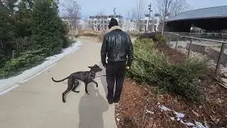 Перец, часть 2