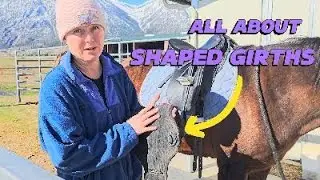 All about SHAPED Dressage Girths!
