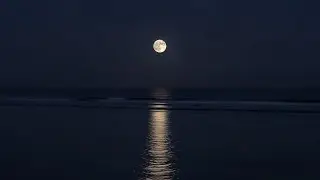 Deep Sleep Music 🌙 Soft Piano Under Moonlit Ocean | 8 Hours