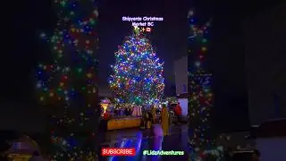 🇨🇦🎄✨ Shipyards Christmas Market. Stunning Light Display.BC#ShipyardsChristmasMarket#ChristmasLights
