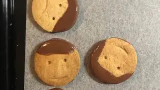 スイカ　作詩アオ　作曲坂口恭平