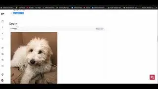 0x0E. C - Structures, typedef  c programing quiz
