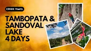 Tambopata & Sandoval Lake 4-Day Tour