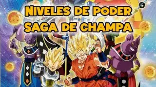 Niveles de poder saga de champa 