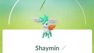 SHINY SHAYMIN ODBIERAMY QUEST , SHINY PIKACHU CO ZA DZIEŃ 😊😉