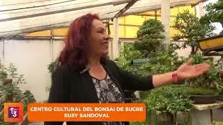 EL VIVERO DE BONS&Aacute;I M&Aacute;S GRANDE DE BOLIVIA FLORECE EN SUCRE