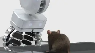 HLPER : Lab Animal welfare and efficiency solution