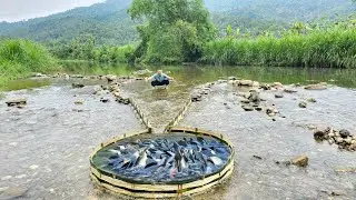 How to trap fish in large streams from bamboo. Brings unexpected results.