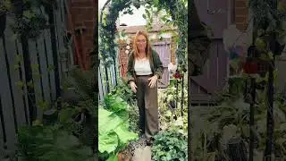 Perfect &mdash; those olive-green wide-leg trousers are such a midlife soft-life staple