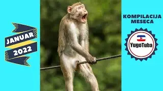 Sme&scaron;nice Yugotuba Kompilacija (Slabo Branje Z Ustnic) - Januar