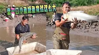花2800盤壹口小魚塘，沒想到裏面的魚竟然這麽大？ #戶外#大表哥 #fishing