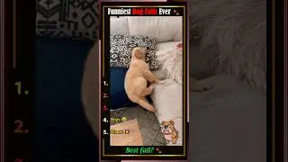 Ranking Dog Fails 🐶😂 #DogFails #FunnyPets #PetShorts