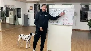 【健身豆知識】#220 太極拳の四大鉄則
