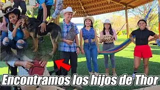Llegamos a comprar huevos a la cede 4K.😄