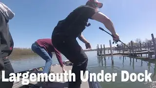 Lake Erie Largemouth fishing