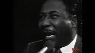 Muddy Waters Blues Band - Long Distance Call (LIVE VIDEO   Jahrhunderthalle Frankfurt Dec 1968)