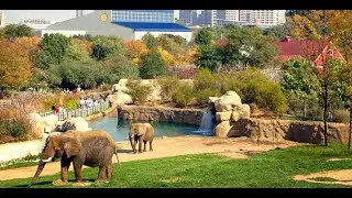 Multi Zoo  location Multi Garden B-17 islamabad ll 2020