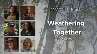 MSU Extension We're 'Weathering Together'