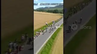 A New Kind of Cycling Race &mdash; With Cats! 🐱🚴&zwj;♂️ Новий вид велогонок &mdash; із котами!