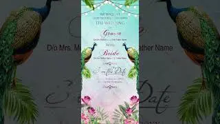 Modern Caricature Wedding Invitation Video | Online Wedding Invitation Video | IM-2293-V
