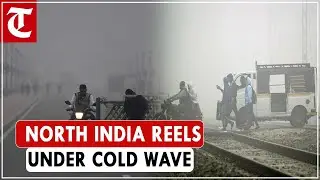North India reels under cold conditions as mercury dips