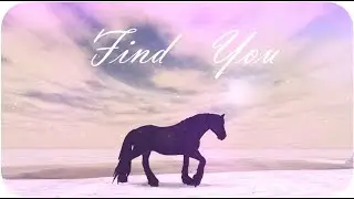 ❥  𝓕𝓲𝓷𝓭  𝓨𝓸𝓾  | 𝓢𝓢𝓞