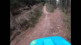 DH / Enduro  Trail: Zaskar 