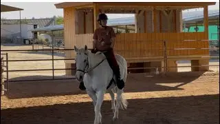 This what I did today I had my horse 🐎Lesson at horse 🐴help 