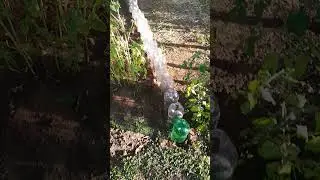 Using plastic bottles to make a garden beds