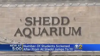 111 Students Sick After Prom at Shedd