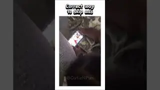 Correct way to skip ads 🤣 #funny #jokes #ads #shorts #laugh #videocall