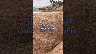 Real mermaid footage on the beach #mermaid #mermaids #beach #realmermaid #mermaidtail