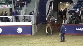 Royal Classic Cart Series (Single Draft Horse to Cart)