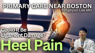What&rsquo;s Behind Heel Spurs and Tendonitis? Exploring the Anatomy of the Calcaneus