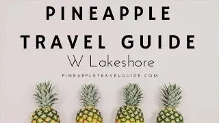 W Hotel Chicago Lakeshore Review