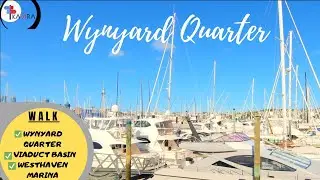 Wynyard Quarter, Viaduct & Harbour Bridge |Travel Auckland, NewZealand | 2020 | AFTER LOCKDOWN
