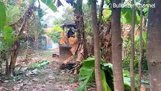 Amazing Project Operator Skills & Clearing The Forest To Landfill By Bulldozer D31P Pushing 5T Truck