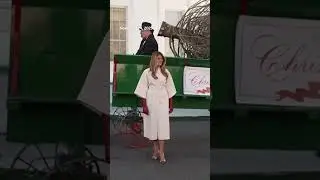Melania Trump receives White House Christmas tree