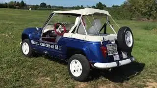 Renault 4 frog