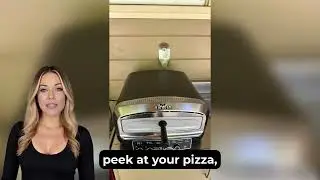 BIG HORN Indoor Pizza Oven Review: Best 2025 Countertop Pizza Maker!