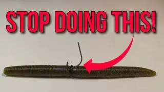 How To Set Up A Wacky Rig The BEST Way!