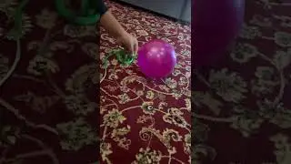 Snake is biting balloon#popping balloon#shorts
