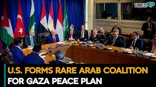 U.S. Wins Big Arab-Muslim Support On Gaza Peace Plan| Israel-Hamas War