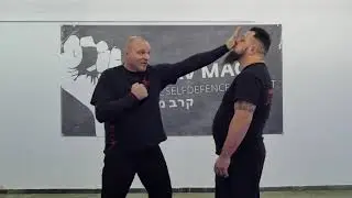 Krav Maga RSC Grundschläge