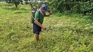 SMART FARMING TRICKS: QUICKLY GET RID OF WEEDS USING CHEMICAL HERBICIDES! - Agriculture Farming
