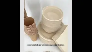 Sugarcane Bagasse Plates Sets